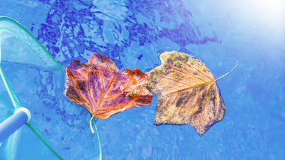 Fall Pool Maintenance Checklist: Balancing Chemistry & Winterization Prep