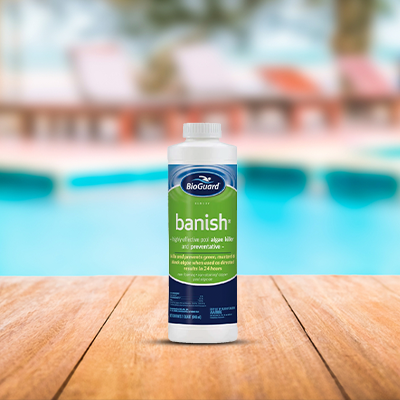 Bioguard Banish Algicide (1 qt)