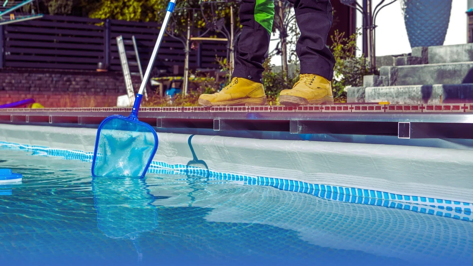 Algae & Cold Weather: Preventing Green in Late Fall