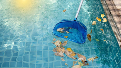 Maintaining Clear Water During Leaf Season: Tips for Skimming and Filtration