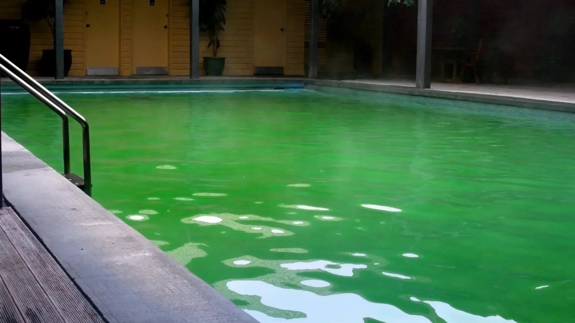 How Quickly a Green Pool Can Clear After Shock Treatment – Pools Plus More