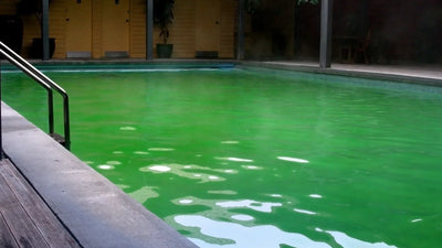 Reviewing How Quickly a Green Pool Can Clear After Shock Treatment and the Key Conditions That Determine Effectiveness