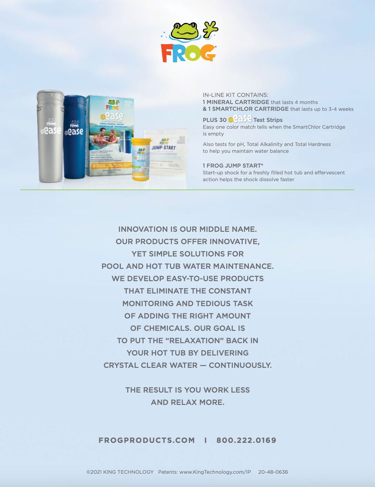 FROG® @ease® mineral cartridge for hot tubs – Keeps spa water fresh and clean