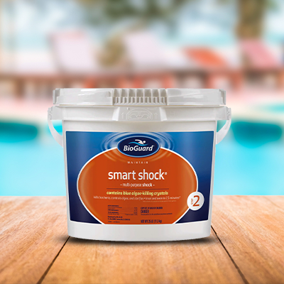 Bioguard Smart Shock– Pools Plus More